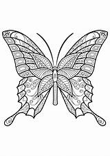 Schmetterling Papillon Coloriage Adultos Schmetterlinge Erwachsene Insetti Butterflies Insectos Adulti Imprimer Ausmalbilder Mariposas Papillons Malvorlagen Insects Motifs Mandalas Ausmalbild Insekten sketch template
