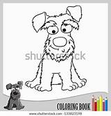 Schnauzer Coloring Vector Shutterstock Stock Dibujos Perros Preview sketch template