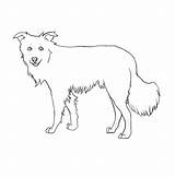 Collie Lineart sketch template