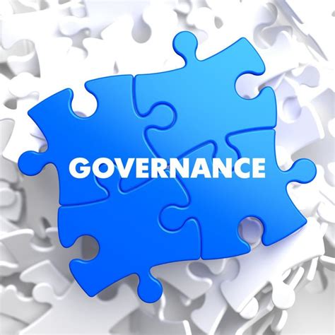 governance  types  governance shikara academy
