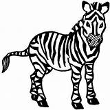 Zebra Coloring Pages Clipart Drawing Kids Draw Animals Printable Line Baby Drawings Gif Clip Animal Childrens Clipartbest 2211 Getdrawings Head sketch template