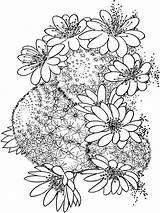 Coloring Pages Cactus Flower Flowers Gingerbread House Resolution Recommended sketch template
