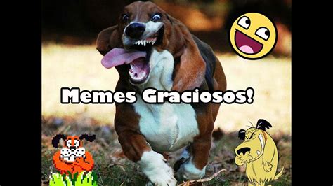 RecopilaciÓn Memes Graciosos De Perros 2016 Youtube