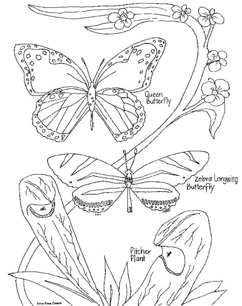 nature coloring pages coloring home