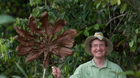 Entrevista Con Thomas Lovejoy Por Qué La Biodiversidad De La Amazonia