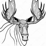 Moose Animal Sketch Antler Vector Head Tattoo Drawing Stock Getdrawings Illustration sketch template