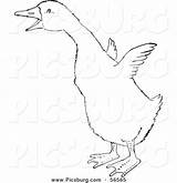 Line Clip Flapping Wings Little Gosling Picsburg sketch template
