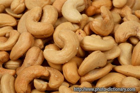 cashew photopicture definition  photo dictionary cashew word  phrase defined