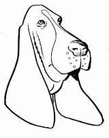 Coloring Coonhound sketch template