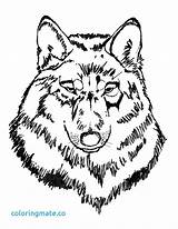 Wolf Coloring Pages Head Wolves Fighting Getdrawings Getcolorings Printable Drawing sketch template