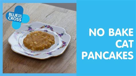 how to make a cat pancake day treat blue cross