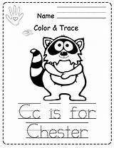 Preschool Printables Raccoon sketch template