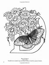 Coloring Butterfly Alphabet Adult Pages Coloriage Fées Embroidery Dover Letters Choose Board Books sketch template