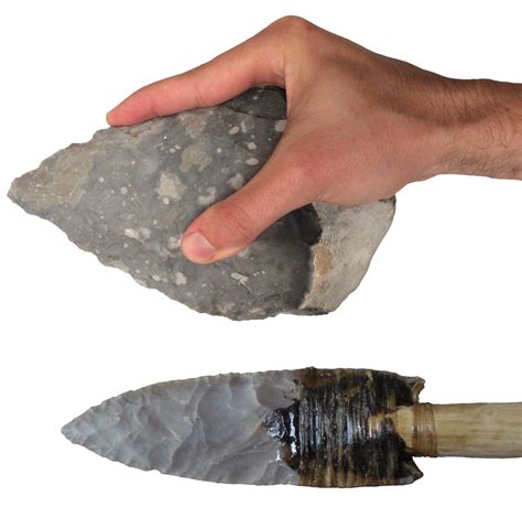 stone tools reveal modern human  gripping capabilities