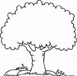 Tree Coloring Pages Branches Clip Branch Clipart sketch template