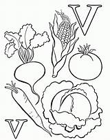 Coloring Vegetable Vegetables Pages Color Kids Sheets Nutrition Print Printable Fruits Book Worksheets Food Popular Library Clipart Related Fruit Coloringhome sketch template