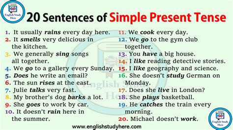 sentences  simple present tense english study