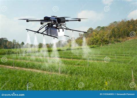 drone spraying pesticide  wheat field stock image image  nature insecticide