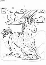 Licorne Unicorni Licornes Coloriage Unicorns Adulti 1255 Speeding Coloriages Adults Malbuch Erwachsene Créature Envole Magnifique Vitesse Toute Cette Magnificent Beast sketch template