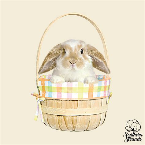 pink easter bunny basket