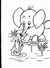 Coloring Animals Pages Wild Animal Printable Kids Elephant Colouring Realistic Baby Drawing Color Print Getcolorings Popular Getdrawings Fun Draw sketch template