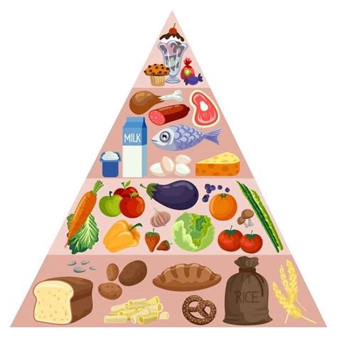 alaska resistencia impedir food pyramid puzzle reducir reflexion transicion