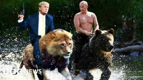 Social Media Users Imagine Trump And Putins Meeting