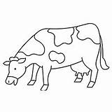 Cow Handouts sketch template