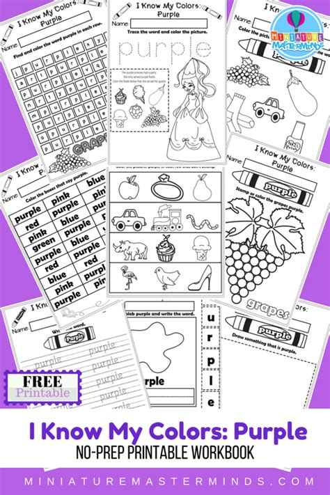colors purple printable worksheet  preschool  homeschool