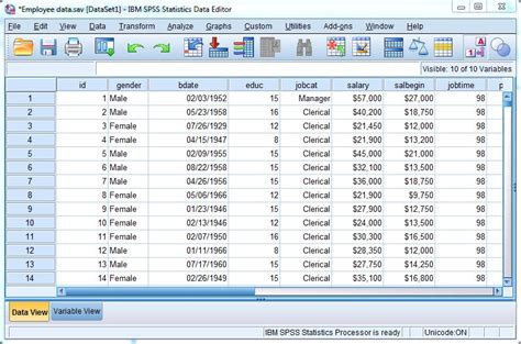 spss for the classroom the basics