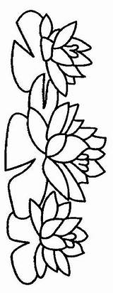 Coloring Flowers Book Lilies Water sketch template