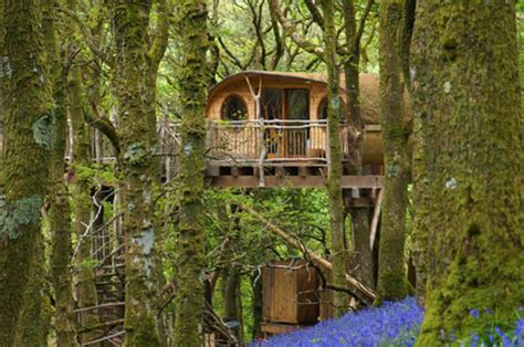 Best Treehouse Holiday In The Uk Magical Four Bed House Hidden In The