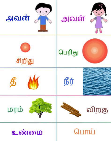 easy tamil words tamil  words
