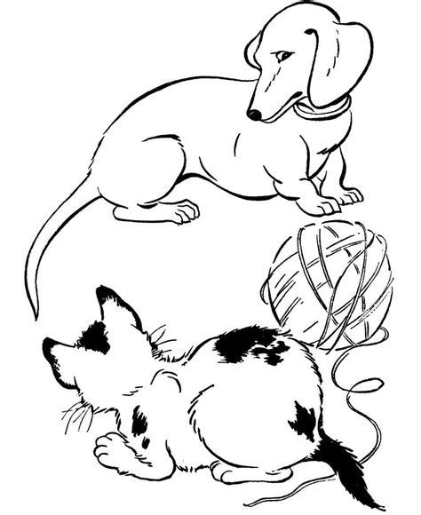 wiener dog coloring pages dog coloring page cat coloring page