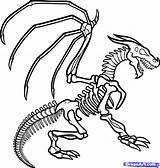 Skeleton Dragon Dinosaur Coloring Pages Bones Drawing Draw Clipart Clip Animal Fossil Drawings Step Clipartpanda Printable Approved Getcolorings Dragons Use sketch template