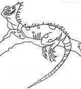 Iguana Leguan Kolorowanki Malvorlagen Darmowe Kostenlose sketch template