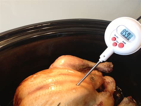 chicken bratwurst cooking temperature   ensure safe  delicious results sawyerlosangeles