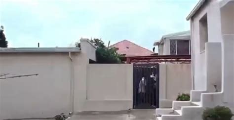 watch moment burgars trying to break in to a house are caught in the act by homeowner express