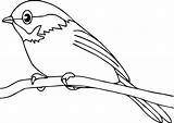 Burung Mewarnai Hewan Sketsa Mewarna Untuk Binatang Kolase Yang Lucu Diwarnai Terbaru Ashgive Kenari Undan Keren Abis Imej Gampang Cepat sketch template