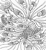 Peacock Coloring Pages Print Coloring2print sketch template