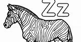 Zebra Alphabet Coloring sketch template