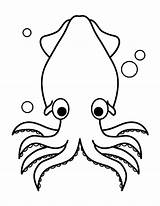 Squid Coloring Pages Printable Museprintables Outline Kids Giant Animal Sheets Octopus Templates Choose Board sketch template
