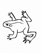 Frog Coloring Pages Color Small Jumping Tree Drawing Dart Poison Wildlife Animals Children Clipart Clipartmag Via Popular sketch template