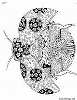 Mandala Ladybug Coloriage Mandalas Therapie Bug Lady Zentangle Coloriages Zentangles Insectes Coccinelle Insetti Colorare Cycle Colorier Result Jecolorie Mariquita Thérapie sketch template
