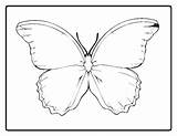 Butterfly Blank Coloring Pages Getcolorings sketch template