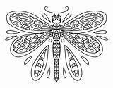 Dragonfly Insect sketch template