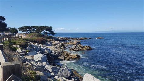 monterey electric bike rental  gps guided tours getyourguide