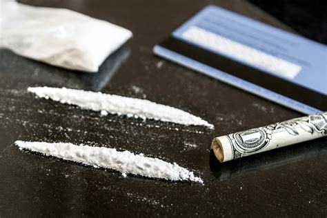 cocaine loaded gun cash seized  accused drug dealers apartment authorities