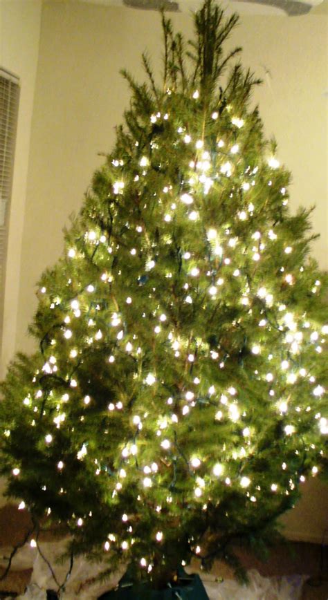 How To Hang Your Christmas Tree Lights