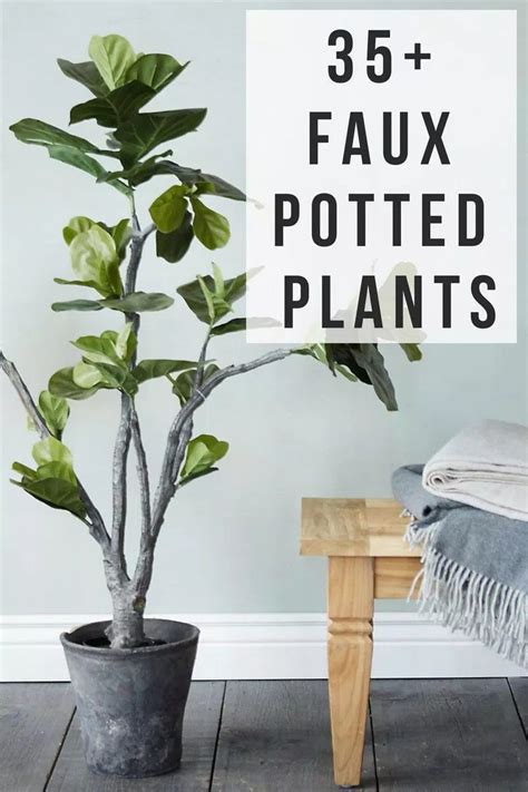 clean fake plants plants bc